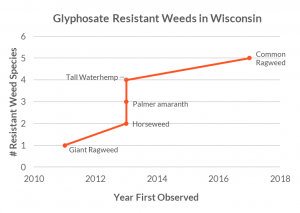 Glyphosate-resistant 'superweeds' may be less susceptible to diseases