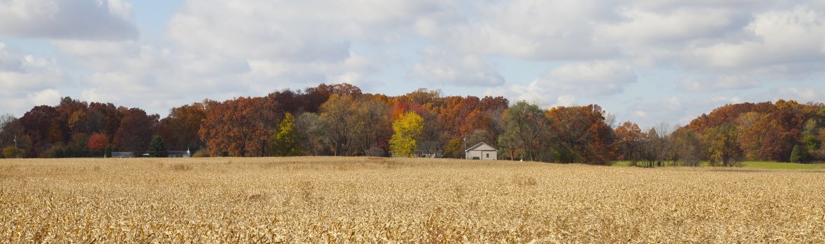 Side Effects of Rural Living: Health Disparities in the Heartland