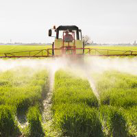 What are Pesticides?