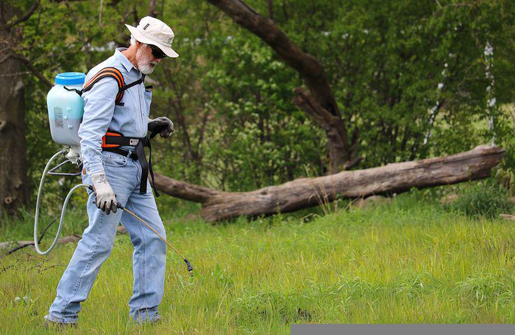 A man spraying pesticides