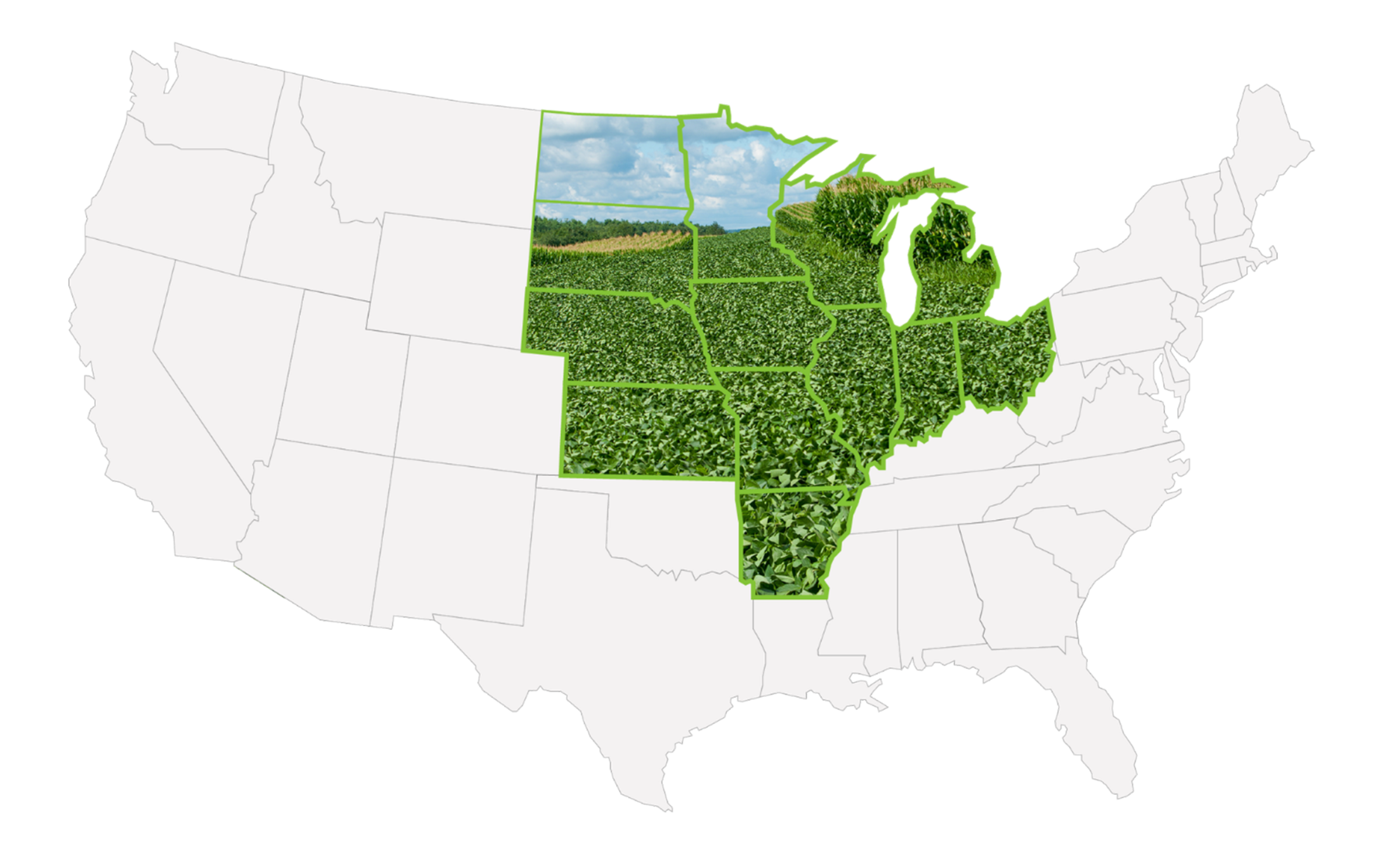 just map